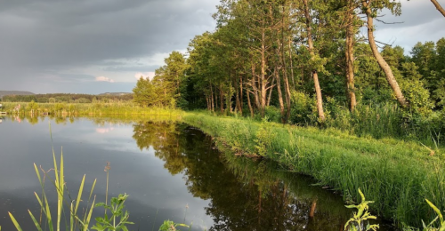 Ставок Вирля в Тернопільській області
