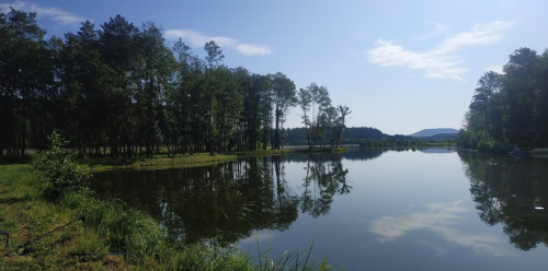 Ставок Вирля в Тернопільській області