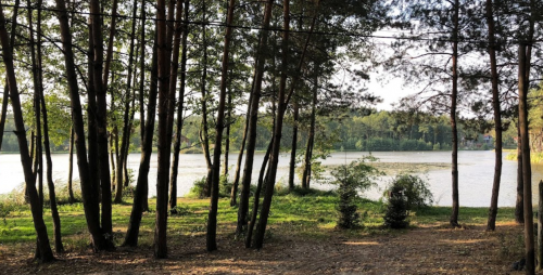 Ставок Вирля в Тернопільській області