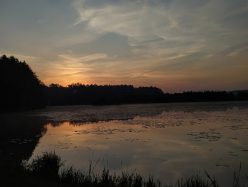 Ставок Вирля в Тернопільській області