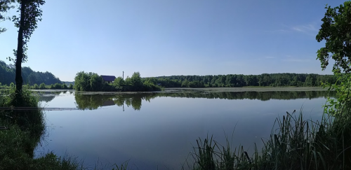 Ставок Вирля в Тернопільській області