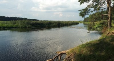 Рыбалка на реке Горынь 