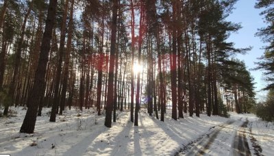 Рыбалка на реке Горынь 