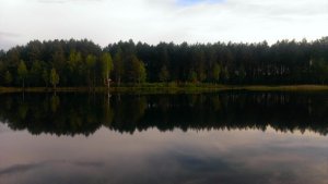 Рыбалка на ставке Очедера у села Ивановка в Ровенской области-2