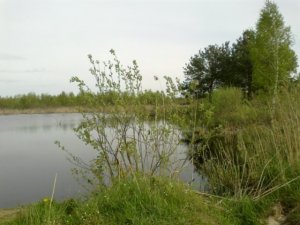 Рыбалка у села Три Копцы в Ровенской области-1