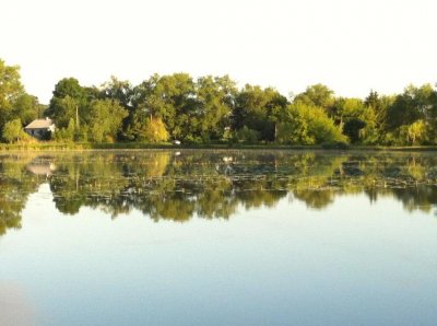 Рыбалка у села Заречное в Ровенской области-4