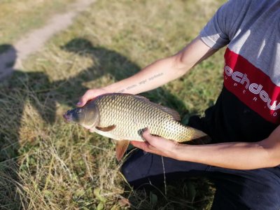 Рыбалка у села Заречное 