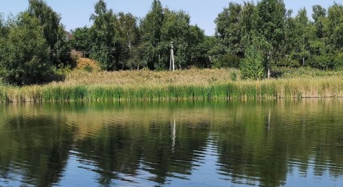 Рыбалка на водоеме в селе Бобровке Харьковской области
