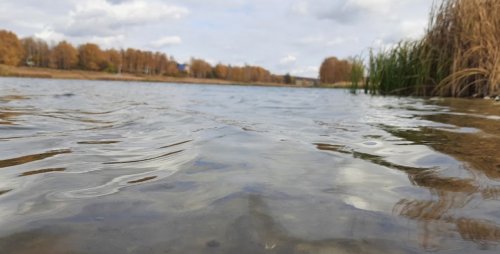 Рыбалка на водоеме в селе Бобровке Харьковской области