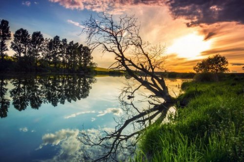 Риболовля в Довжанці Тернопільської області