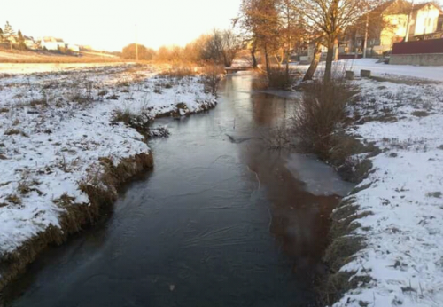 Риболовля в Довжанці Тернопільської області