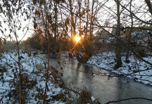 Риболовля в Довжанці Тернопільської області