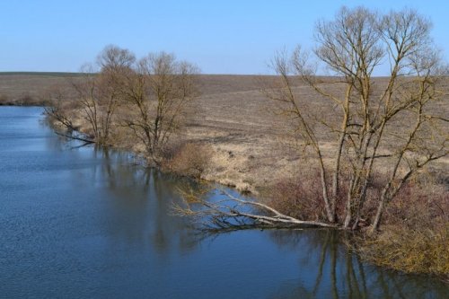 Риболовля в Довжанці Тернопільської області