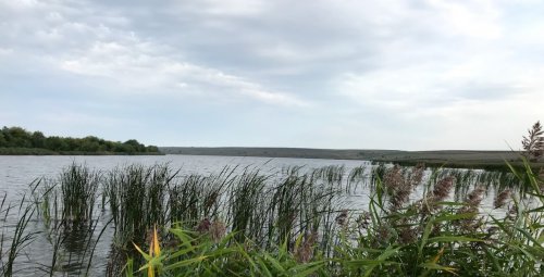 Риболовля в Мала Плавуча Тернопільської області