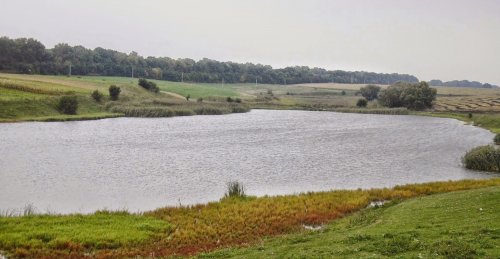 Риболовля в Мухавці Тернопільської області