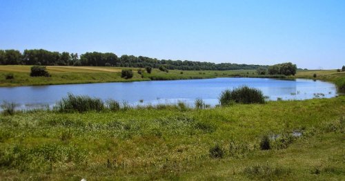 Риболовля в Мухавці Тернопільської області