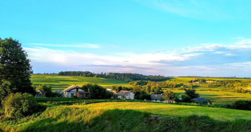 Риболовля в селі Ратищах в Тернопільській області