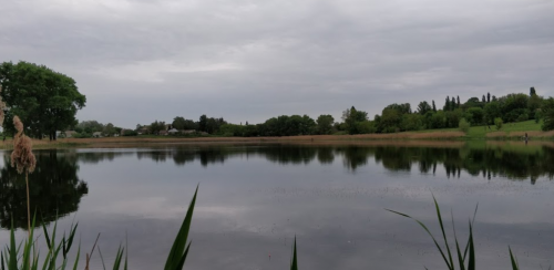 Риболовля в селі Ратищах в Тернопільській області