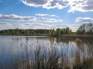 Рыбалка в селе Матиевка в Ровенской области-2
