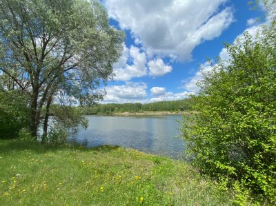 Рибалка на ставку «Юрченкове» у Харківській області