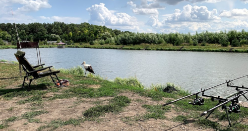 Риболовля в Збаражі Тернопільської області