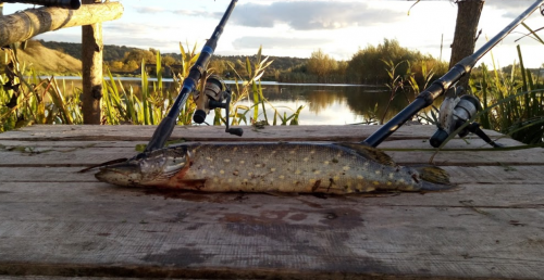 Риболовля в Збаражі Тернопільської області