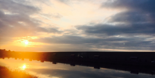 Риболовля в Збаражі Тернопільської області