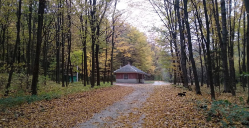 Риболовля в Жеребках Тернопільської області