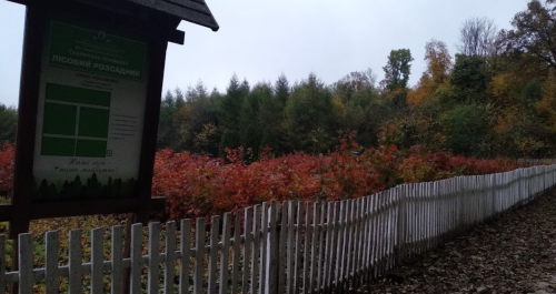 Риболовля в Жеребках Тернопільської області