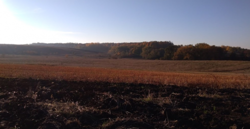 Риболовля в Жеребках Тернопільської області
