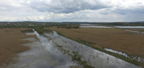 Залозецький став у Тернопільській області