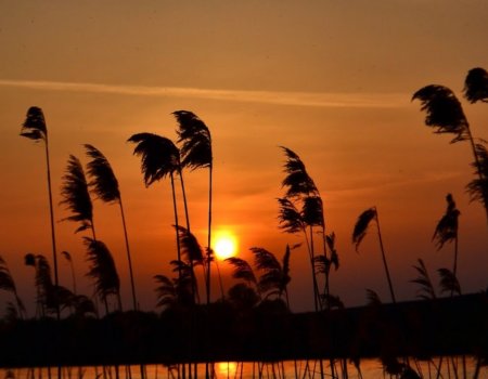 Рыбалка на Царском озере