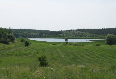 Рыбалка на озере Константовка №1 