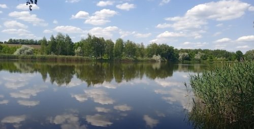 Рыбалка на пруду Ростыня в Харьковской области
