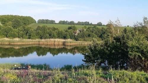 Рыбалка на пруду Ростыня в Харьковской области