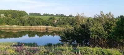 Рыбалка на пруду Ростыня в Харьковской области7