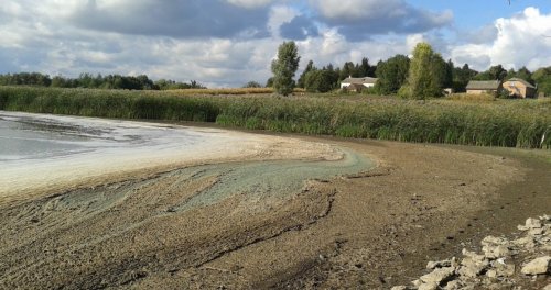 Рыбалка на озере Бужок в Ярославке 