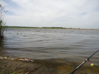 Рыбалка на реке Хомора в Грицеве Хмельницкой области