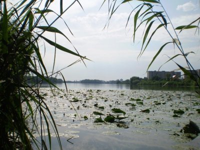 Рыбалка на реке Южный Буг 