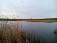 Рыбалка на стрельбище в Хмельницкой области