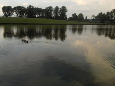 Рыбалка в Базалии Хмельницкой области-2