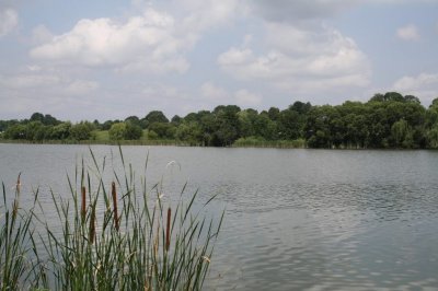 Рыбалка в Лотовке Хмельницкой области