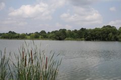 Рыбалка в Лотовке Хмельницкой области