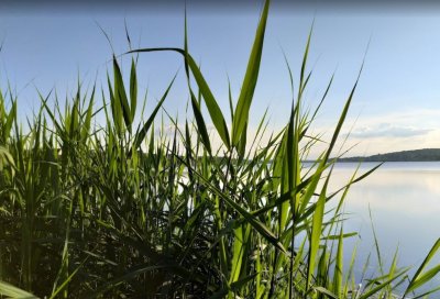 Рыбалка на Царском озере