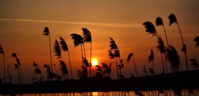 Рыбалка на Царском озере